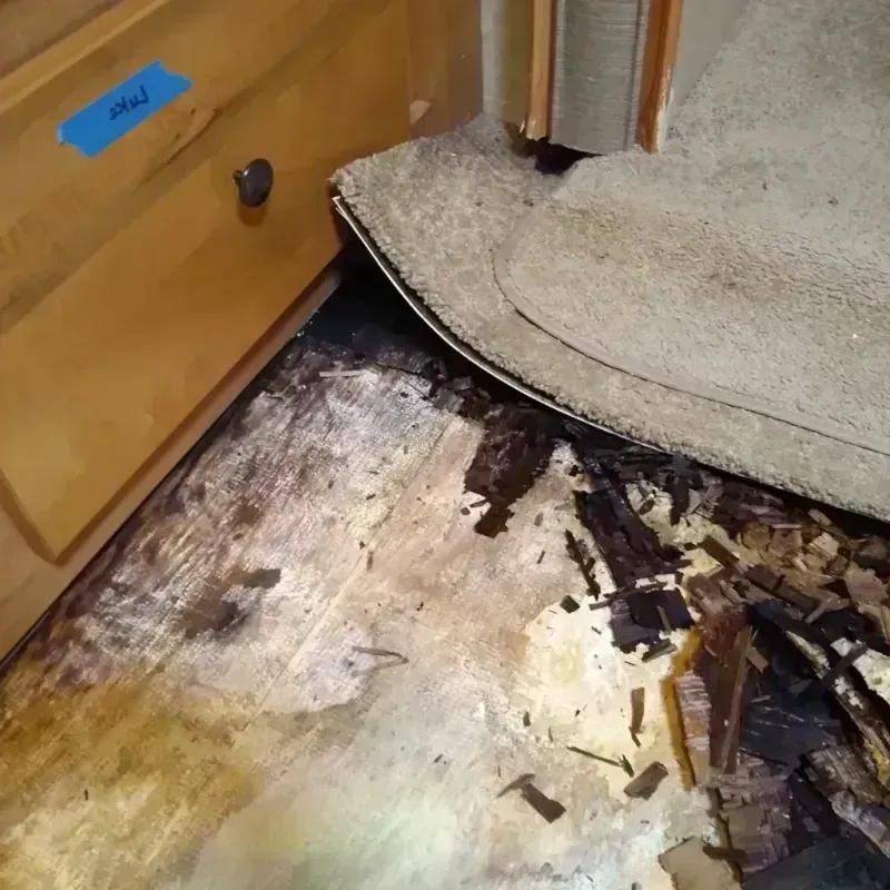 Best Wood Floor Water Damage Service in Acton, CA